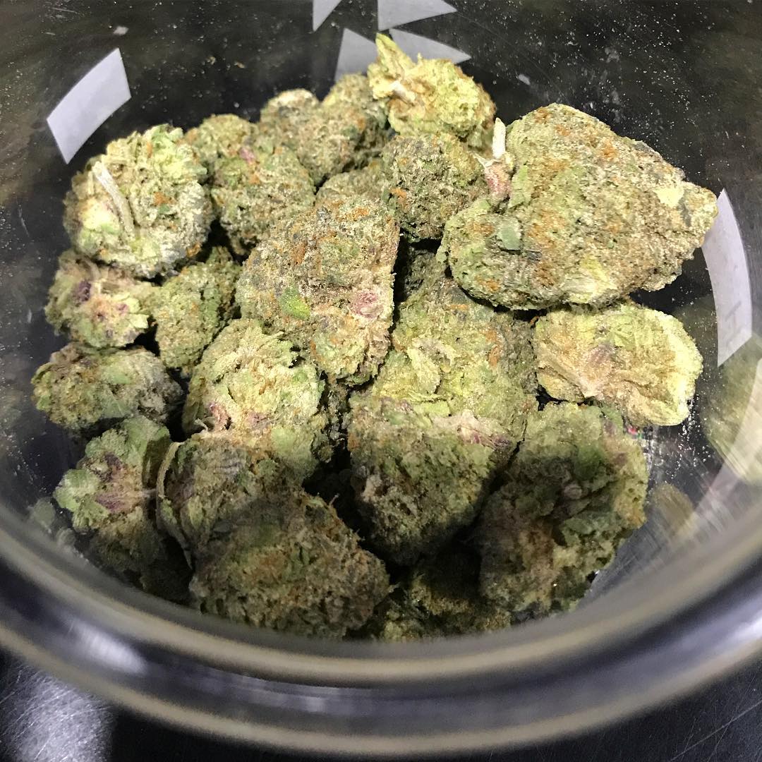 #weed #cannabis #marijuana #weedporn #thc #cbd #stoner #cannabisculture #ganja #hightimes #maryjane #indica #sativa #smoke #highlife #life #dabs #weedlife #smokeweedeveryday #high #dank #medicalmarijuana #highsociety #hemp #bong #stoned #bhfyp Check bio for contact
