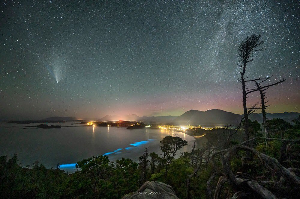 davidlmccolm's tweet image. What a night!  With the potential for some aurora action &amp;amp; Neowise fading day by day, I decided to head up here last night ... the comet, bioluminescence, the Milky Way and even a bit of aurora - just wow ❤️ #Tofino #BC @TamithaSkov @HelloBC @tourism_tofino @StormHour