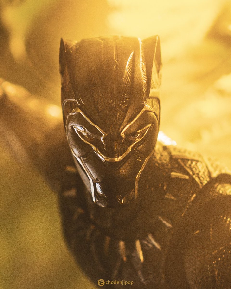 ChodenjiPop's tweet photo. The Warrior King

#BlackPanther #marvel #marvelstudios #mafex #toyphotography https://t.co/ME6PeG8jiu