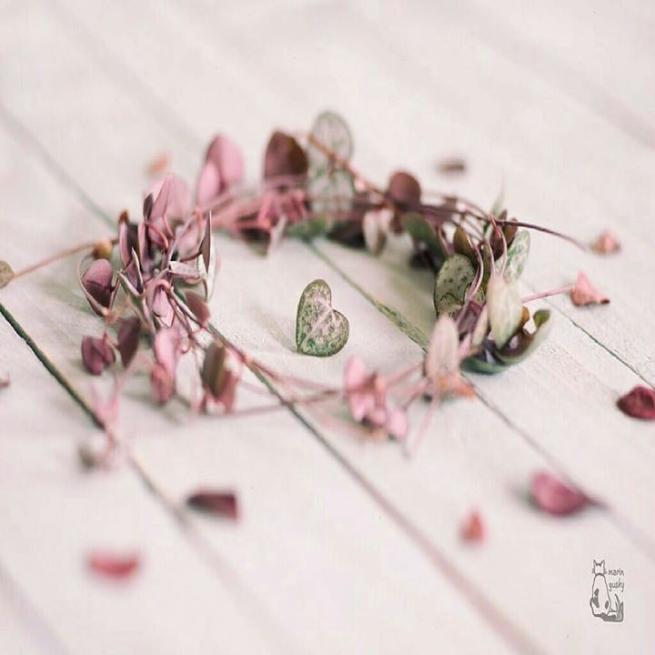 hh_road's tweet photo. ⠀ ⠀ ⠀ ⠀ ⠀ ⠀ ⠀ 
كِدنا ليوسفَ كي يرى أحبابَه
هلّا يحنّ زمانُنا
فَيكيدُ !

ولقد مننّا مرةً أخرى على
موسى الكليمِ
فعاد وهو
وليدُ

أملٌ به يحيا المؤمّلُ دهرَه
"قد تُدرَكُ الحاجاتُ
وهي بعِيدُ"

#سمو_التميمي 
#للسمو_ألف_معنى https://t.co/UIDBylaVDY