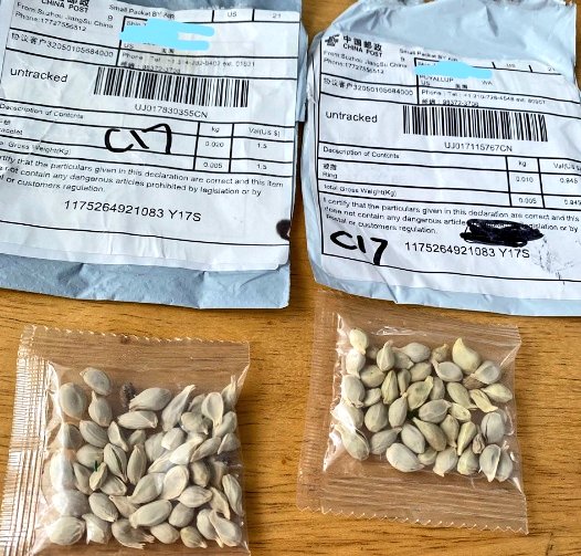 MariettaDaviz's tweet photo. ALERT:.Mysterious seed packets from China sent to people all across the U.S.
Small packages of seeds received in the mail that appear to be sent from China that you didn't order.
DO NOT open, plant or touch the seeds.
Report it to USDA or local authorities.
https://www.aphis.usda https://t.co/0LOTkUcO2N
