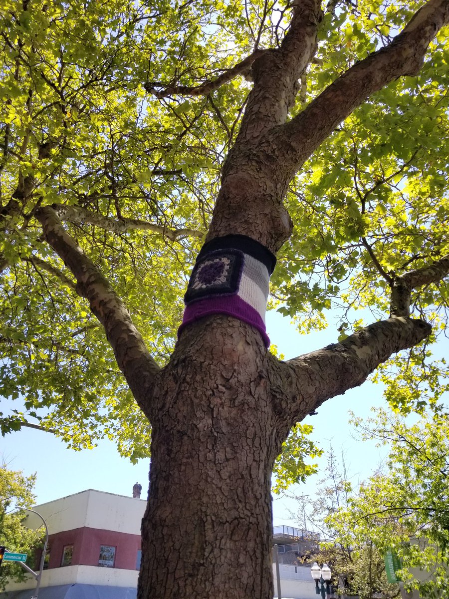 Asexual flag up, with the special crocheted patch I made.  #BHamLoveWins  #asexual