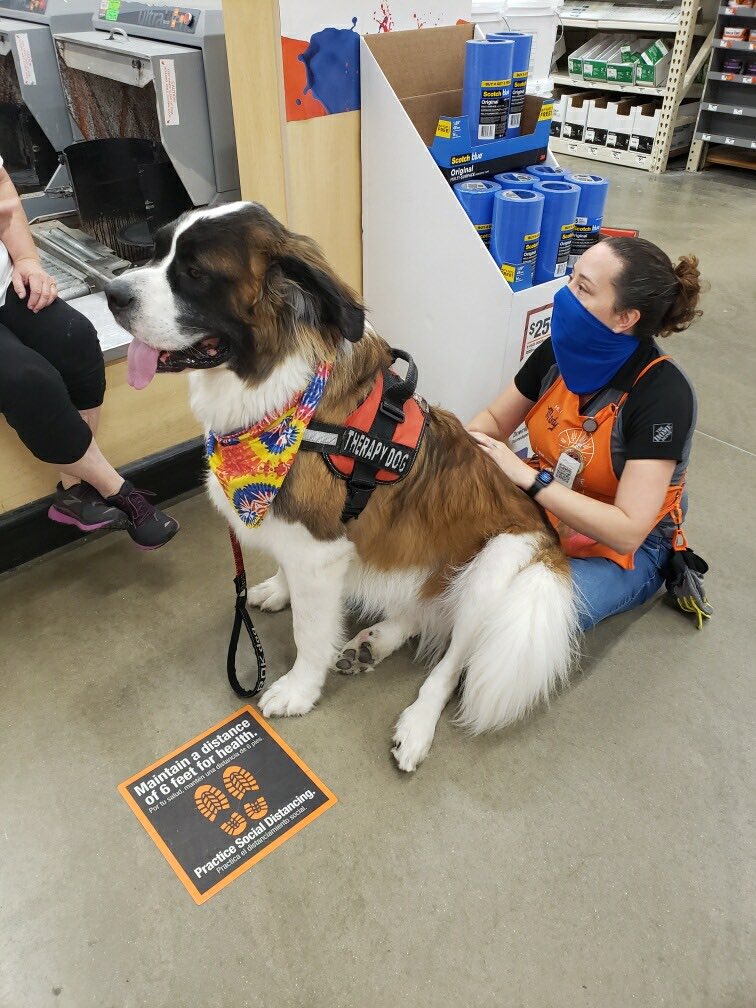 I’m totally ok being squished to death by Archie #DieHappy #HomeDepot #homedepotdogs #depotdogs
