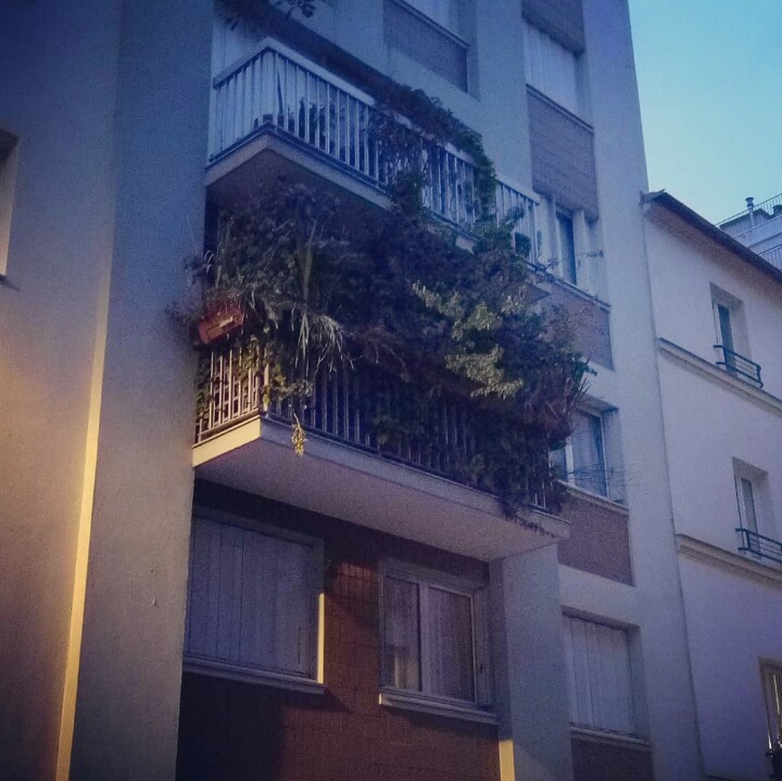 FannyPostCarbon's tweet photo. Paris Sauvage ou l'art de se mettre au vert. https://t.co/ny0x6Jjb5T
