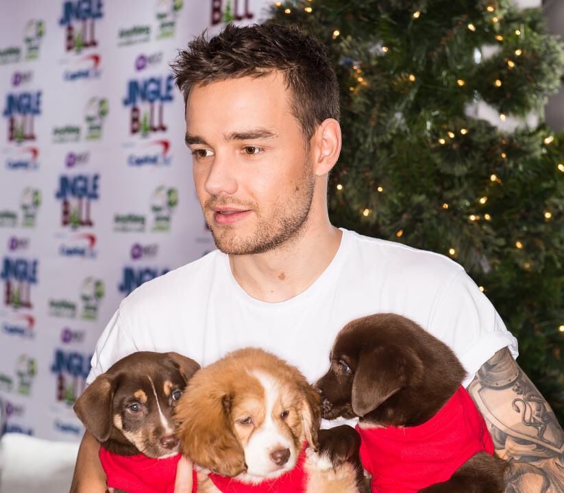 liam payne with dogs; a very cute and NECESSARY thread
