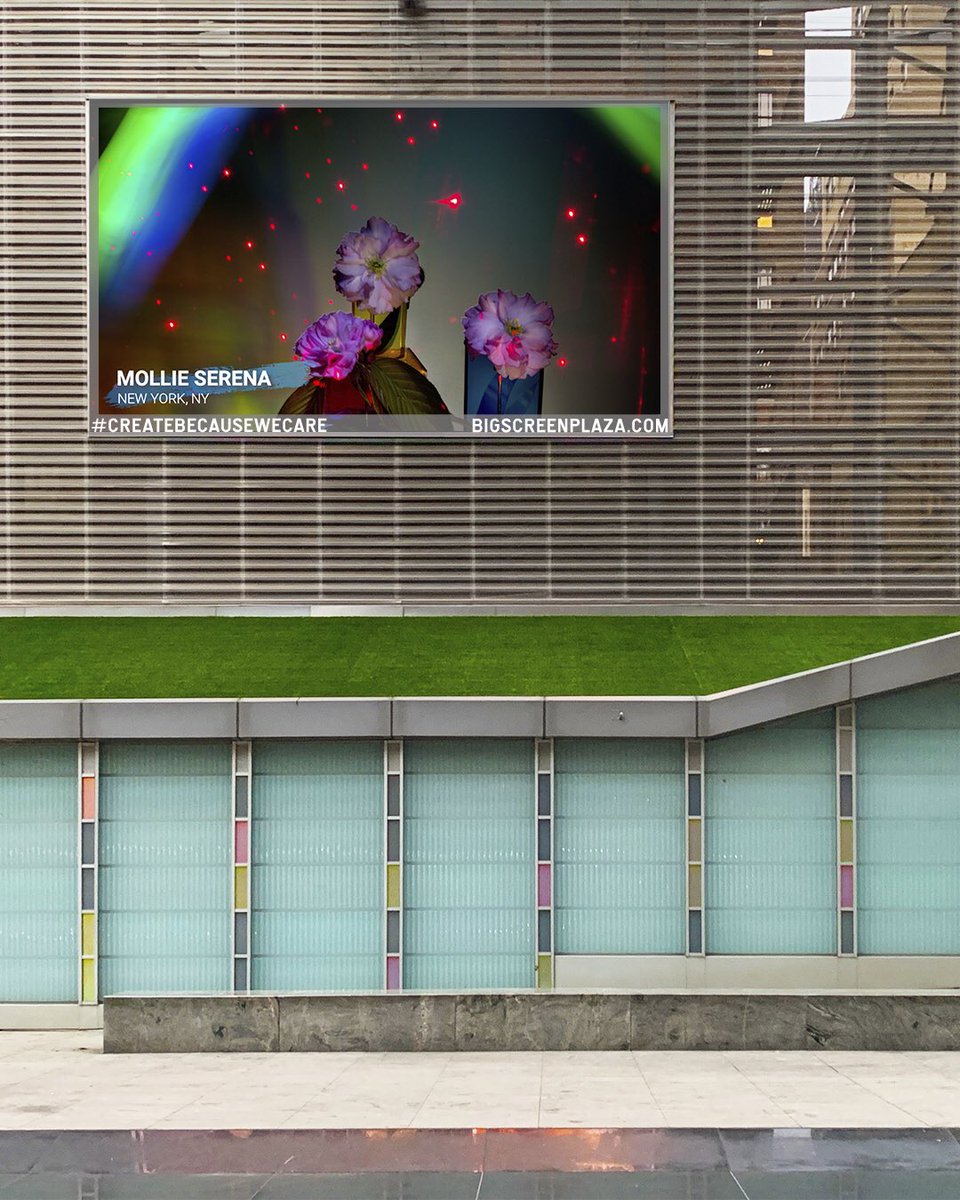 serena_mollie's tweet photo. Bug thank you to @bigscreenplaza #CreateBecauseWeCare for including me in your digital exhibition in NYC! I have 4 pieces in the show and when the plaza re-opens all the art will be displayed on a 30 ft screen. Check it out at https://t.co/1iYFRZpPzU https://t.co/GhJazjQg2r