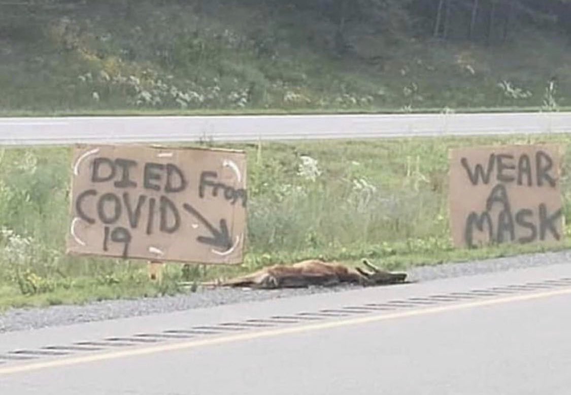 CloydRivers's tweet photo. Merica. https://t.co/1yZEOaDhrO