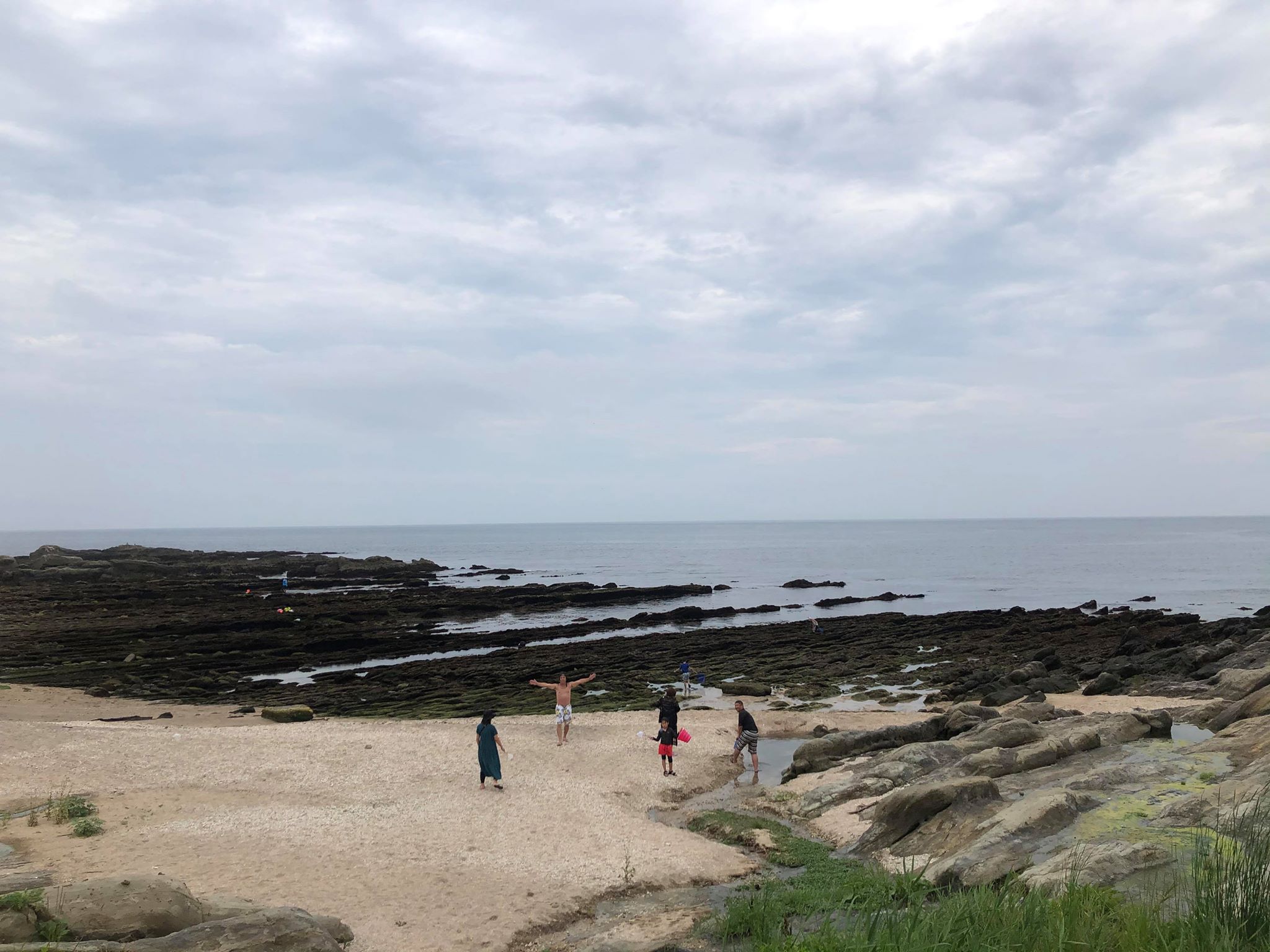 公式 Ocean S 白浜フラワーパーク Oceans Twitter