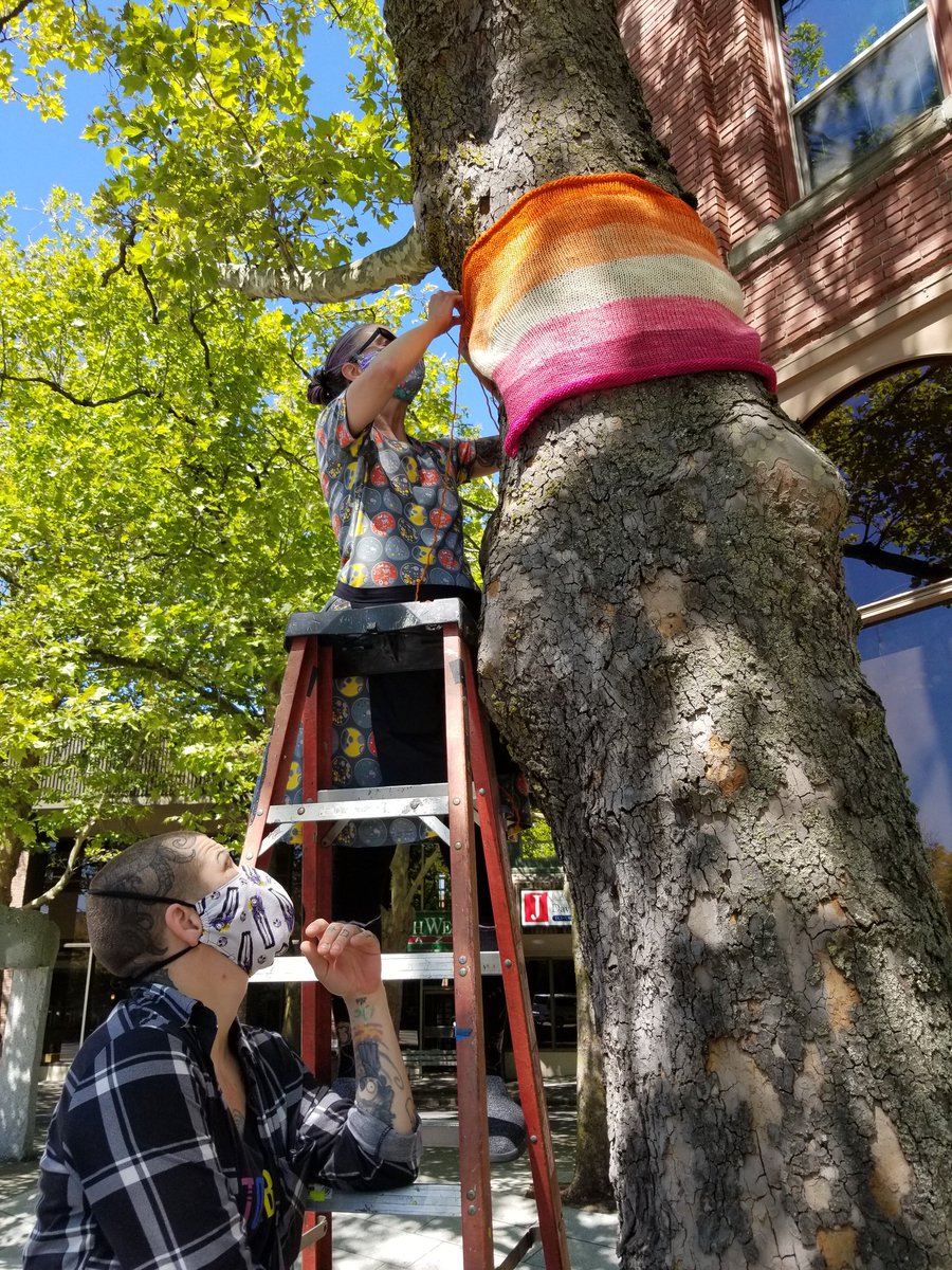 The  #lesbian flag is going up! This yarn was hand-dyed at the shop by Melissa, who you can see holding the ladder down. You can get her yarns at  http://www.nwyarns.com  and look for the Leviathan brand.  #Pride  #BHamLoveWins