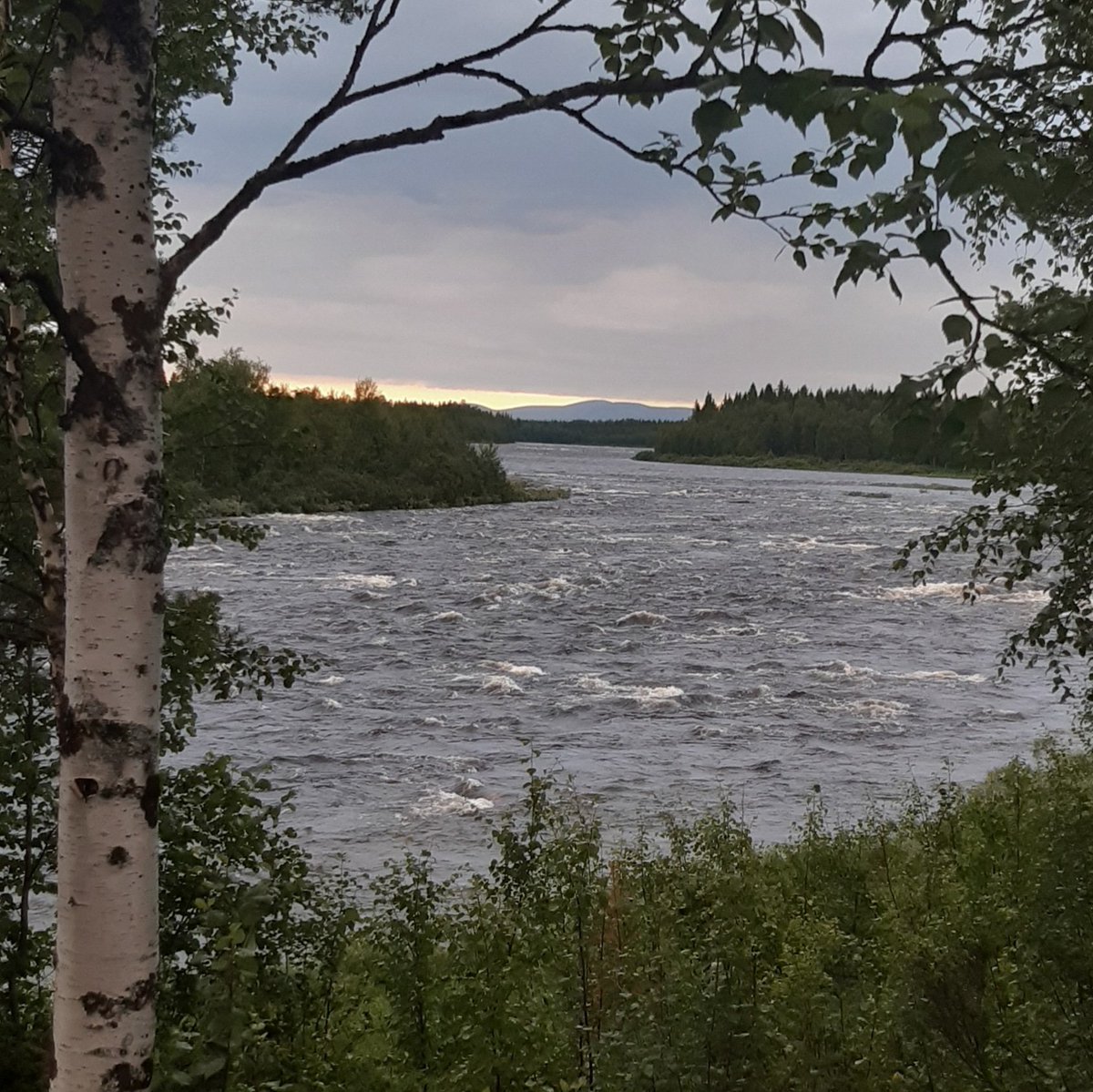 JaniKTNieminen's tweet photo. Tämä näkymä aukeaa terassilta kun saunan jälkeen painetaan toisen kerran pää tyynyyn #RoadTrip2020.
#Äijäkoski #visitMuonio https://t.co/Y5aaC6hIHR