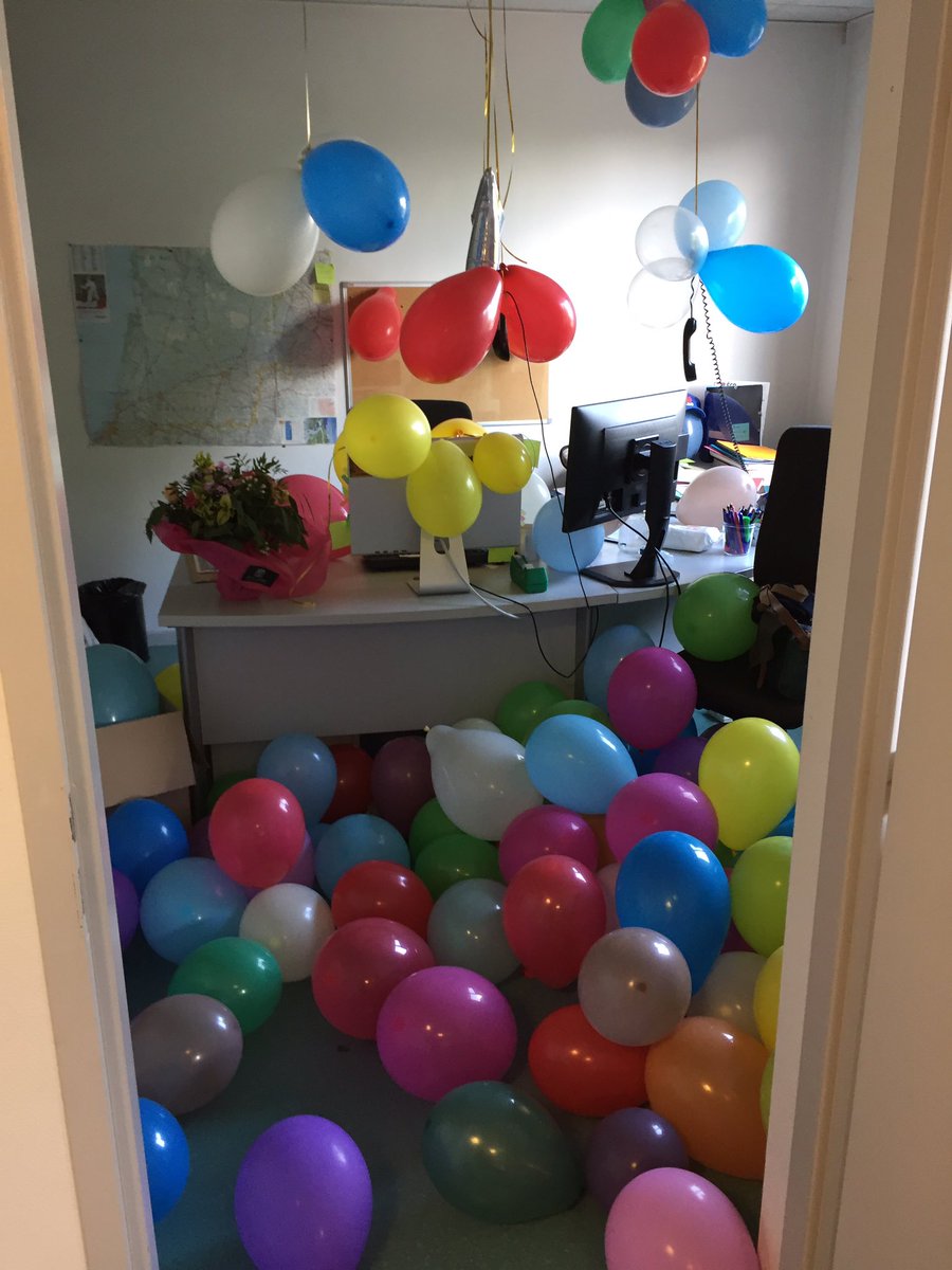 EmmaP2R's tweet photo. Notre équipe est à fond les ballons. #surprisedansmonbureau
#dernierweekend #mescollèguessontfous #teamSudOuest #nouveaudépart (#envraiçapique) https://t.co/IEswcyquNK