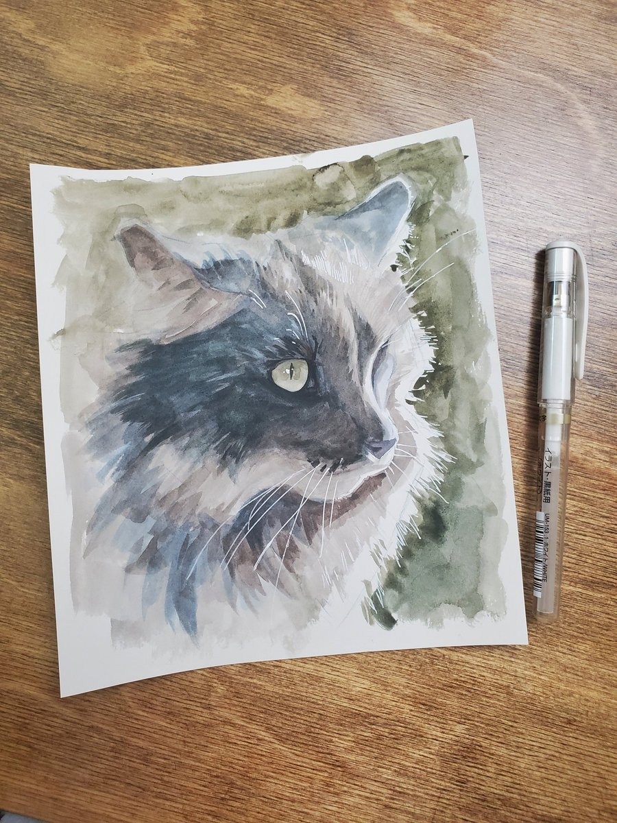 THREAD: How to build a watercolor kit for $25 - paint, paper, brushes, highlight 