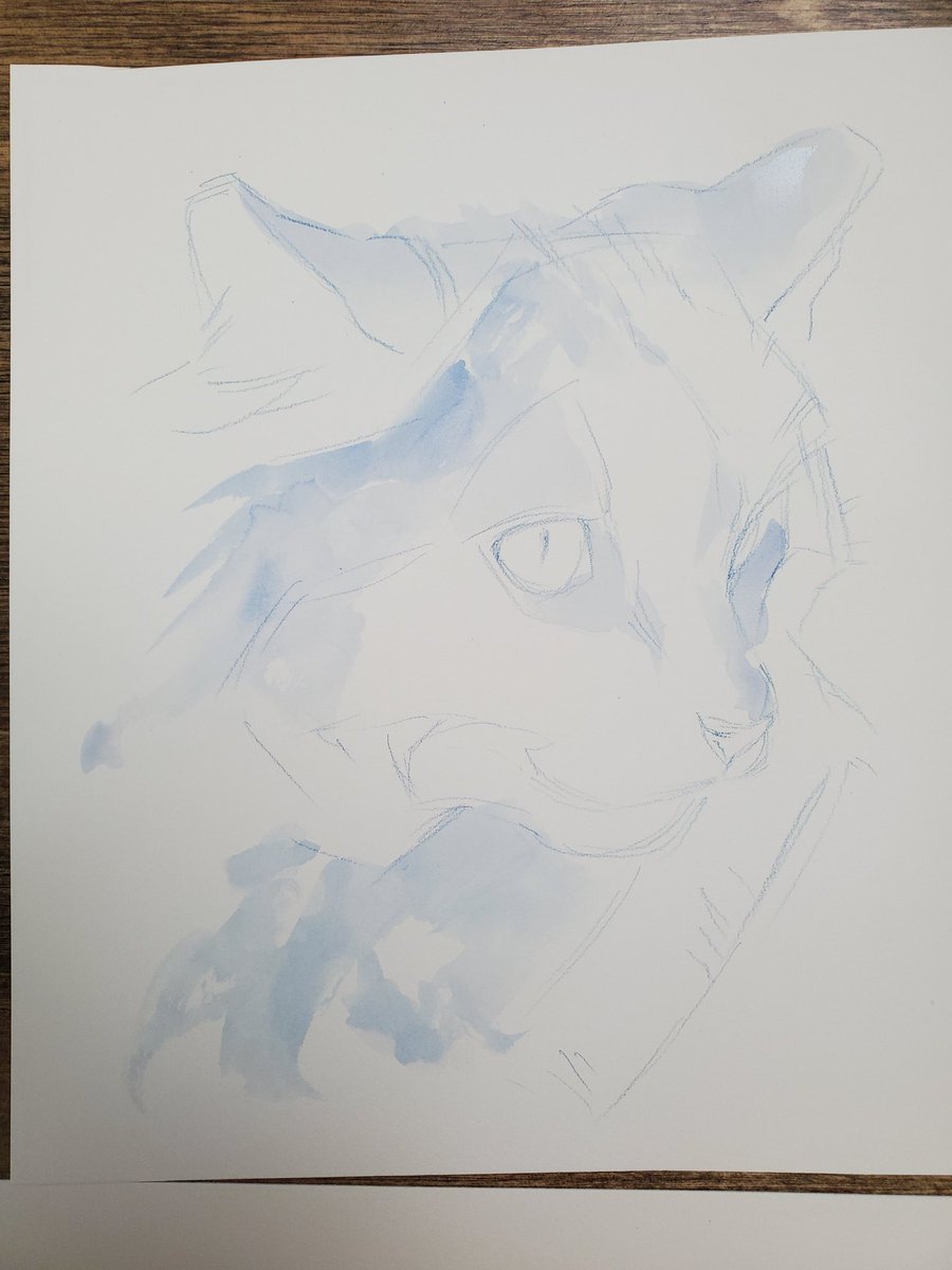 DEMO: Im painting a cat for the demo. First I've added a soft blue underpainting, then I mix up cool and warm grays for the detail! You learn a lot about control with cheaper sets: it requires a lot of focus and attention, but you really get good with a brush.