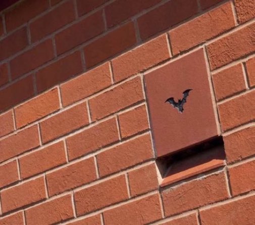 LGSpace's tweet photo. We think these bat bricks for new builds are a great example of how innovation and creativity can help wildlife!
#nature #bats https://t.co/HesTy68cYX