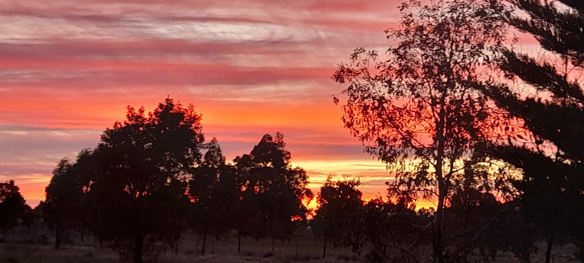 Sunrise this morning Creswick Victoria..