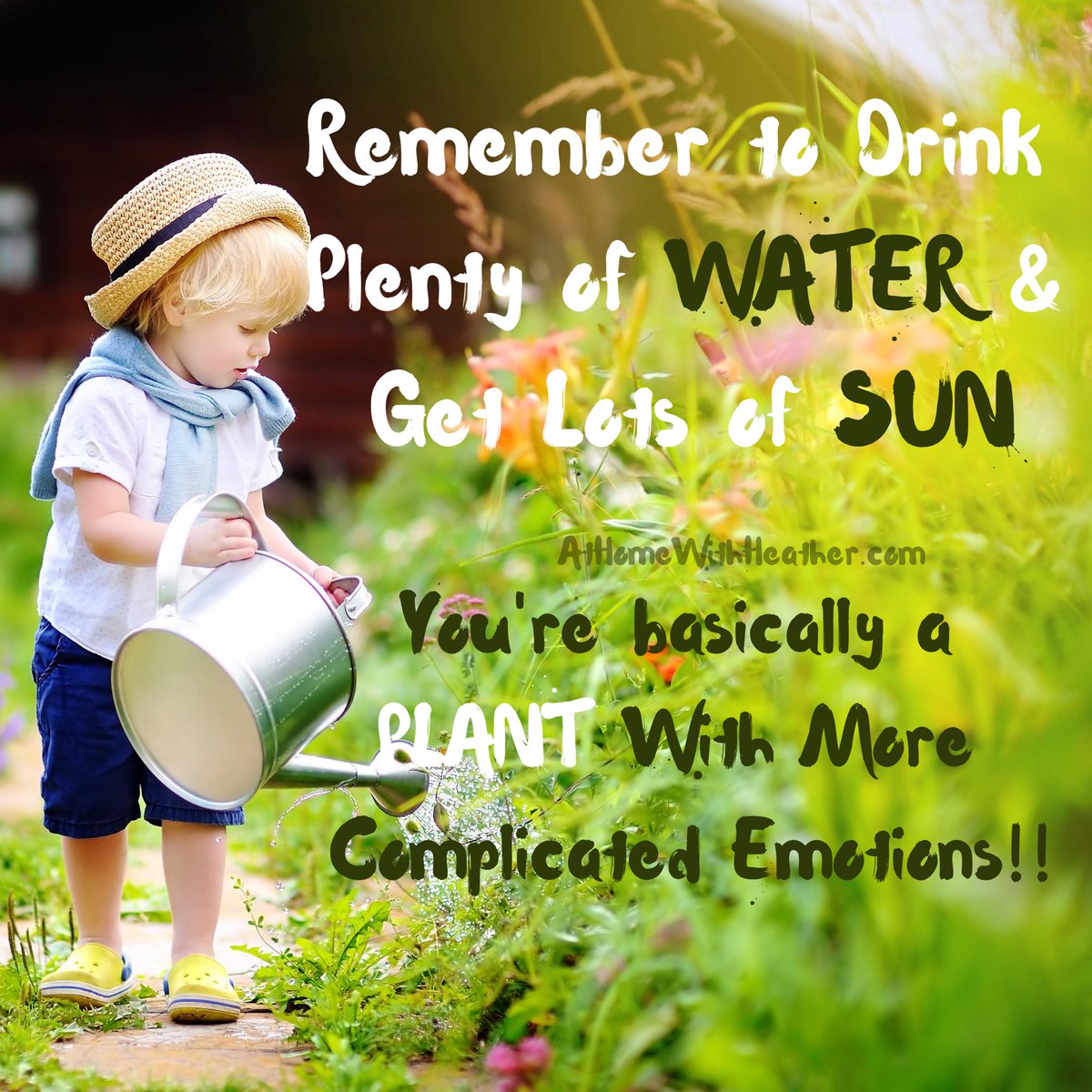 HeatherMasson's tweet photo. Remember to drink Plenty of WATER 💦&amp; Get Lots of SUN  ☀️
 
You're basically a PLANT 🌿with more Complicated Emotions!! 
 
I am on a journey to get healthy during this pandemic.  
 
One thing we can control is to be doing our best to be healthy everyday  #thisis2020 https://t.co/OtFQ52u2Vi