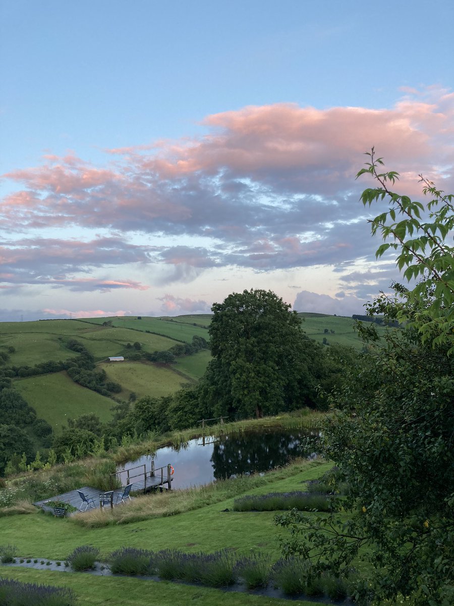 Lovely day lovely evening #lavenderharvest #lavender #lavenderfarm #wildswimming #sky #clouds #blue #pink #hedgerow #field #ngs #powys #wales #mirror #reflection #water #ashtree