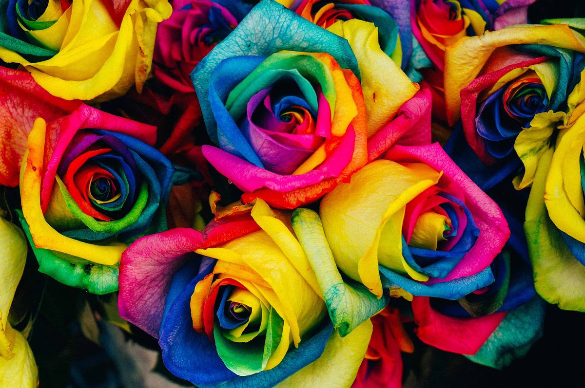 Rainbow rose #MTVHottest bts  @BTS_twt