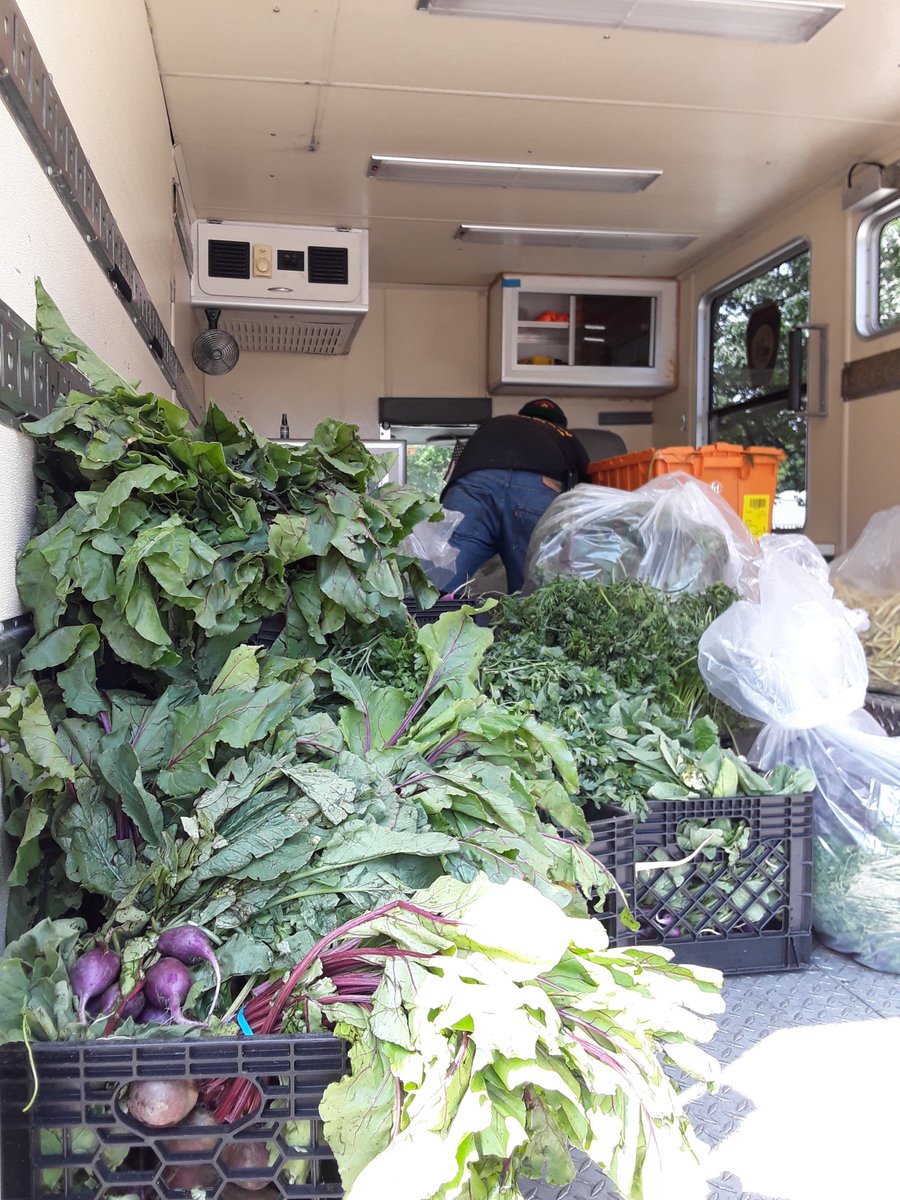 hungrymonknyc's tweet photo. Huge donation of greens today from @GrowNYC 🥗🥕🥬 https://t.co/at5kgmLzFk