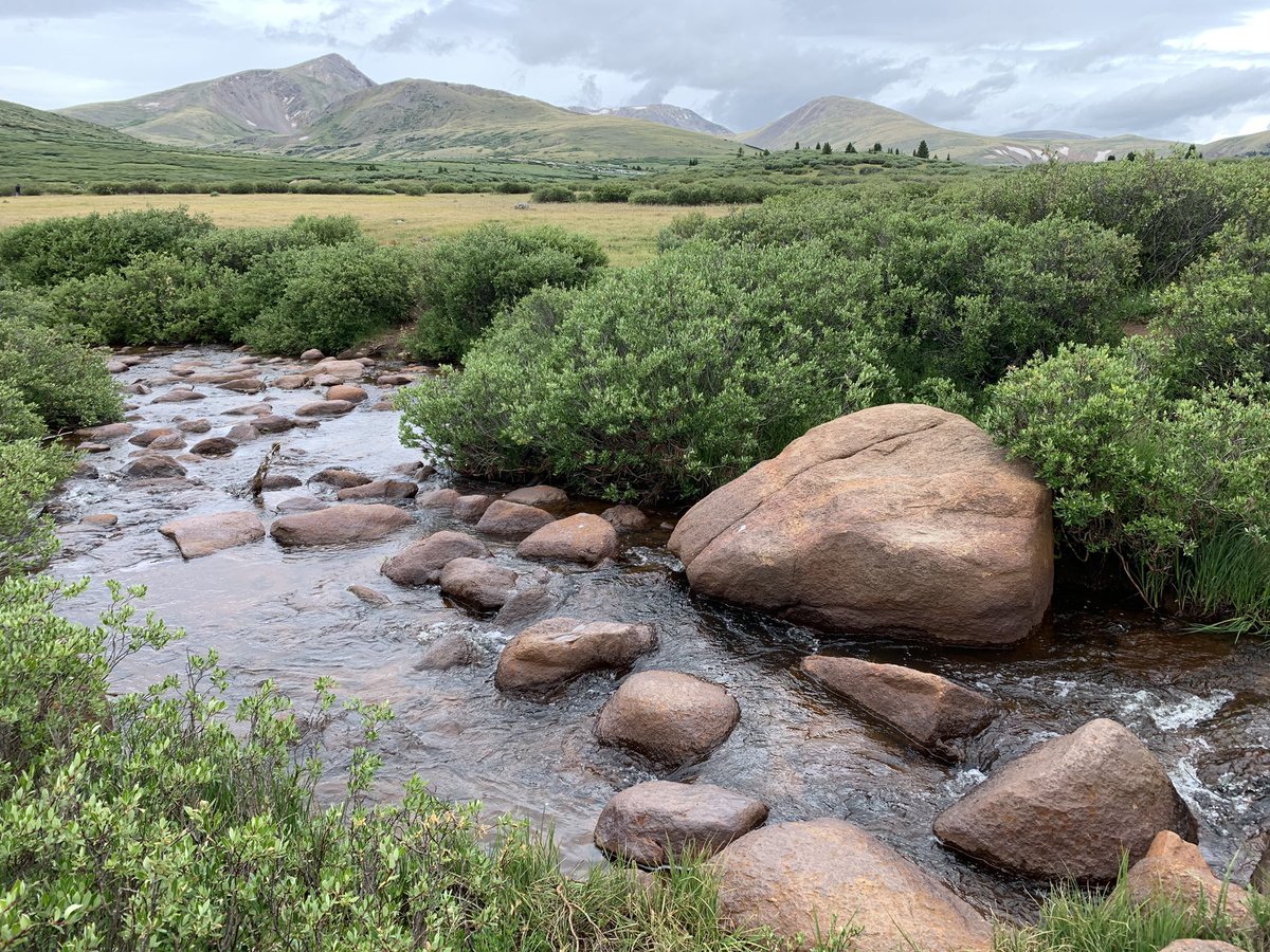 420BernieBro's tweet photo. Quit the internet &amp; go hiking #Bierstadt https://t.co/E29GINmt00