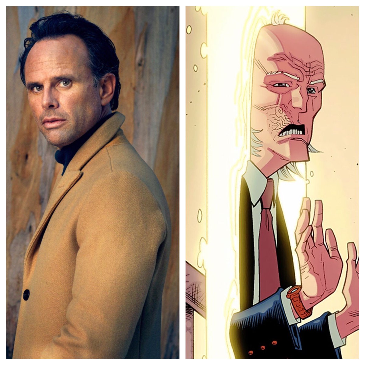 Walton Goggins will be playing Cecil Stedman, the main government liaison that superheroes in this world have to deal with.