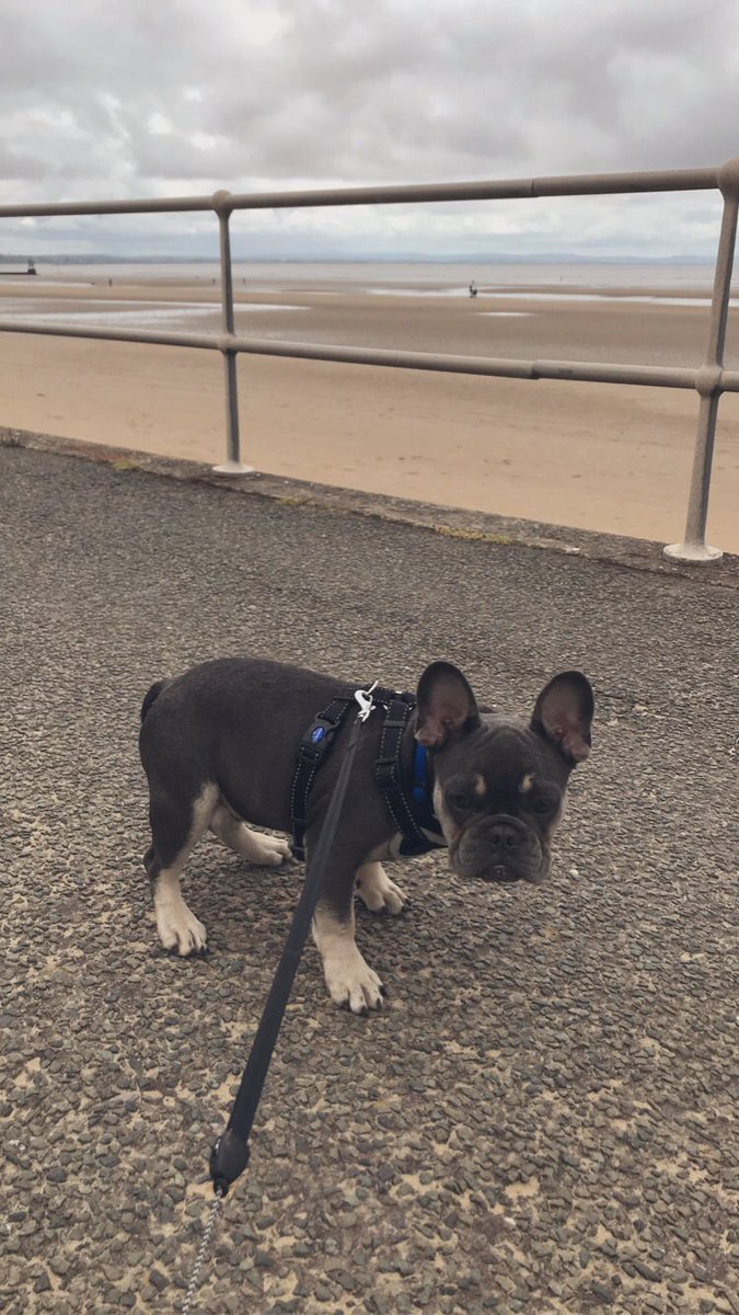 OPM_96's tweet photo. My mate 🐾💙 https://t.co/lRfrLaEeJa