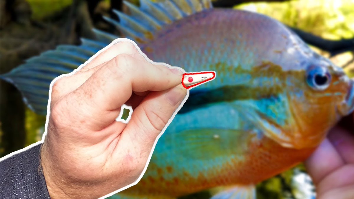 Please leave a comment on the video, let me know your ur from Twitter! Please RT and support the movement! Video youtu.be/9ubv6eCNxXI