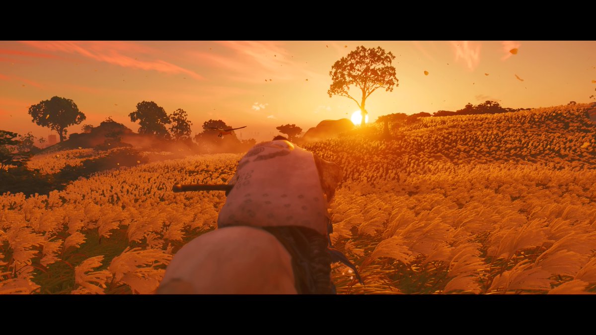 General_Tazz's tweet photo. Love messin around in the photo mode  #GhostOfTsushima https://t.co/ekgyTbFWxG