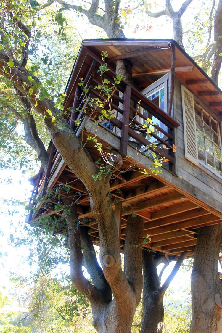 1earthlocation's tweet photo. حلم الطفولة 🌳🏠 https://t.co/ulPBKHcryx
