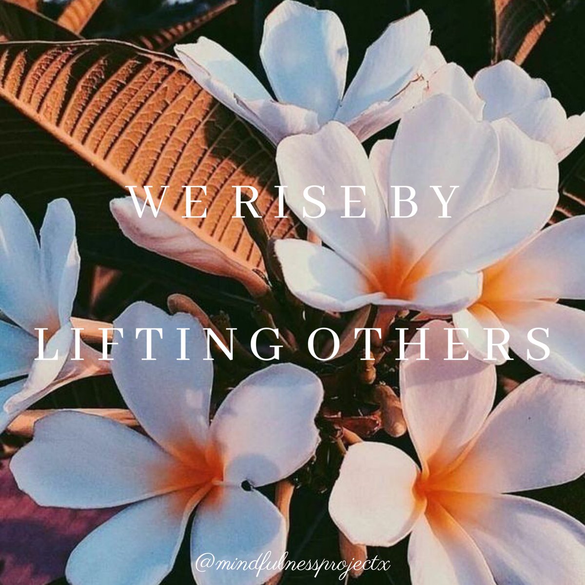 mindfulnessprx's tweet photo. • W E  R I S E • 

#mindfulness #blog

https://t.co/OATU0DzbgO https://t.co/E3Xh4KOegC
