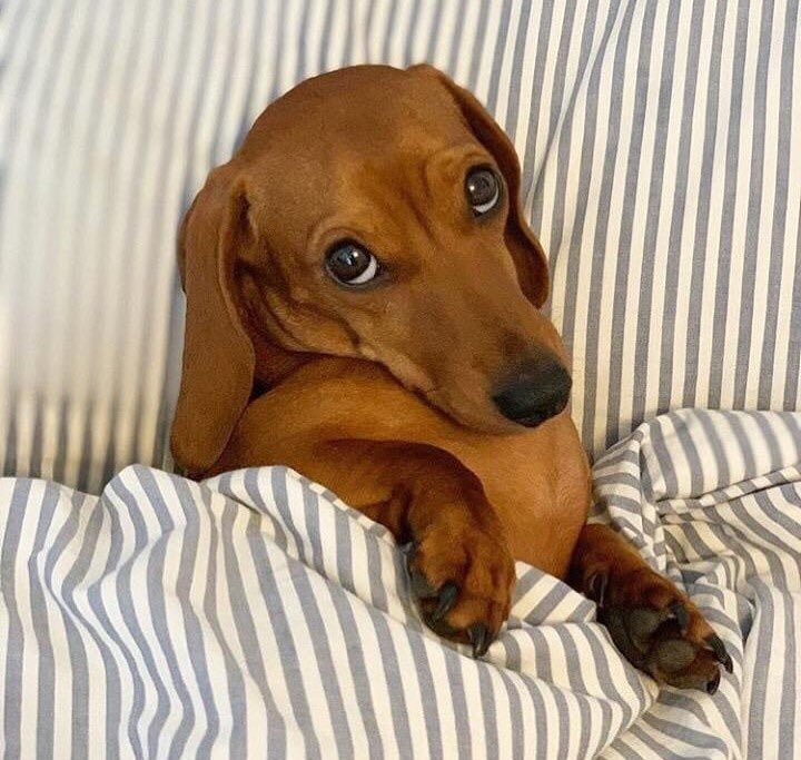 chudaiiii90's tweet photo. mira lo que son esos ojitos😍 https://t.co/6roeM1EuNM