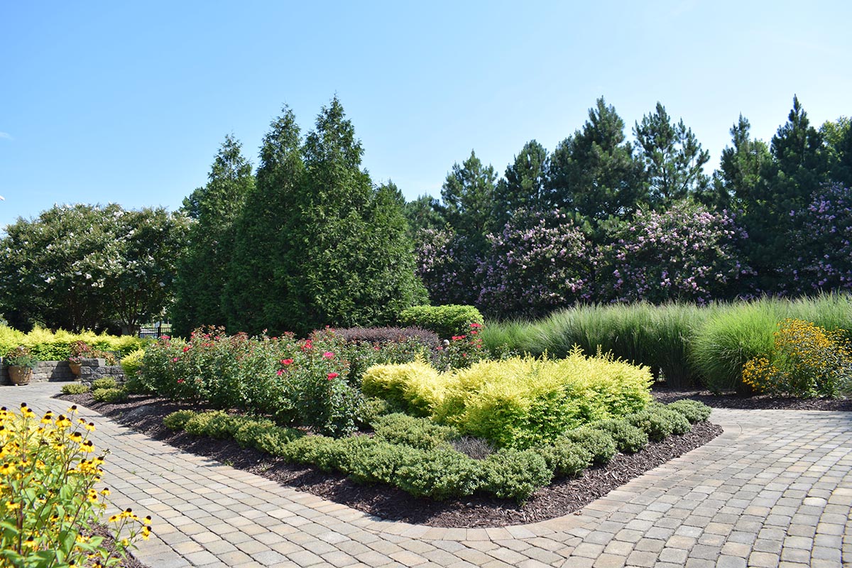 DukeRaleigh's tweet photo. For all those that have missed the summer view from our gardens, here are a few highlights.
#pictureduke #COVID19 https://t.co/2khMn5NSPF