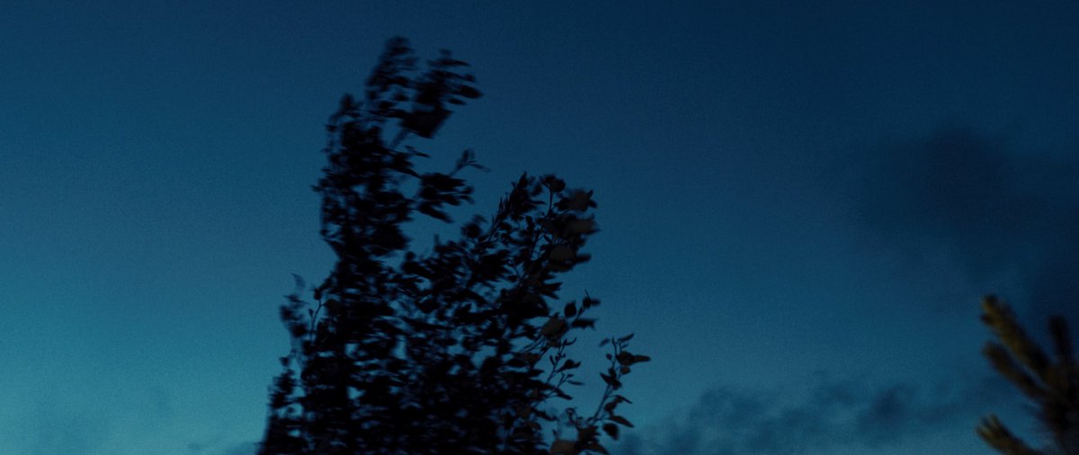 Masonprender's tweet image. Blue hour frames #developyourvision