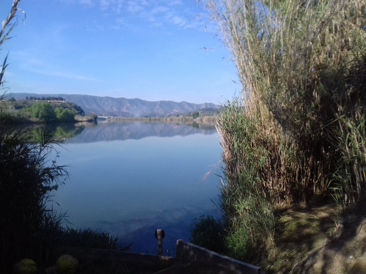 castingonebro's tweet photo. Such a beautiful place #castingontheebro #rivercarp #catfish #ribarojadebre #riverebro #wildcarp #spain #gardenswims #100lbplus  
#madarin #mandarincatfish 
https://t.co/jYVLUmms0F https://t.co/os5mQPoDGx