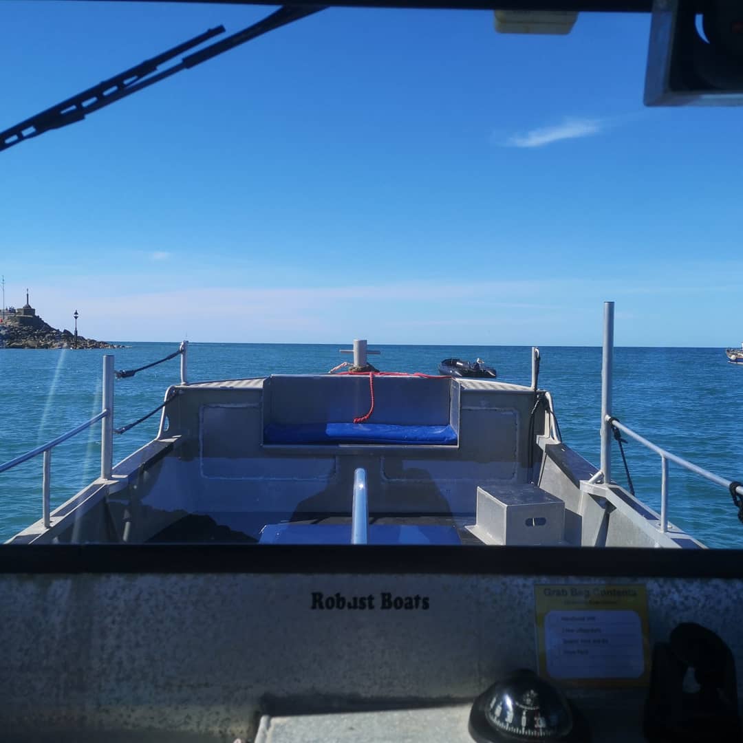 PushtackPete's tweet photo. Name a better way to spend the day. #boatlife #seamor #boattrip #skpperforhire #newquaywales https://t.co/i6dcv8ANeJ