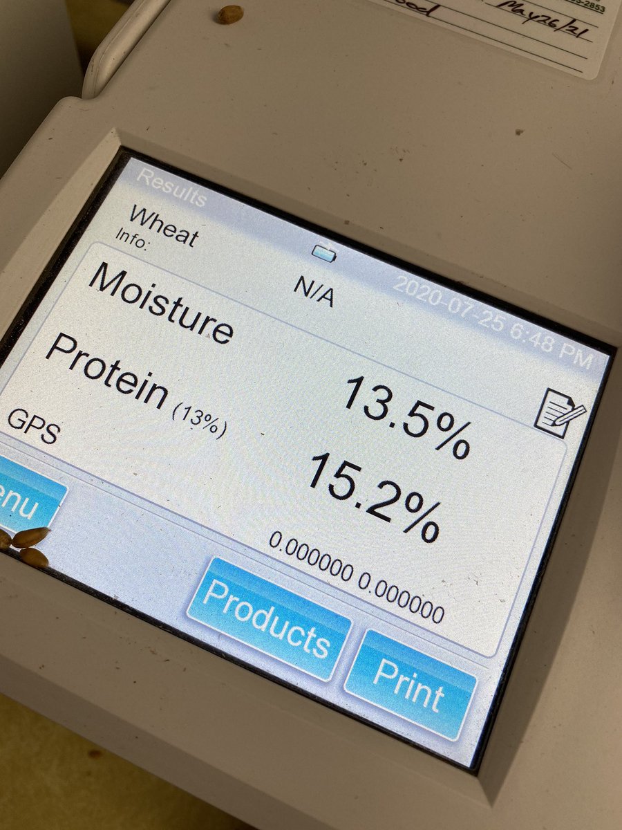 SandeeHardy's tweet photo. Seeing some huge protein and high test weight > 400 grams/half L on C&amp;M Seeds Pro 81 at the elevator tonight! 👌🏻🌾 #hardredwheat https://t.co/AK4pucK8vD