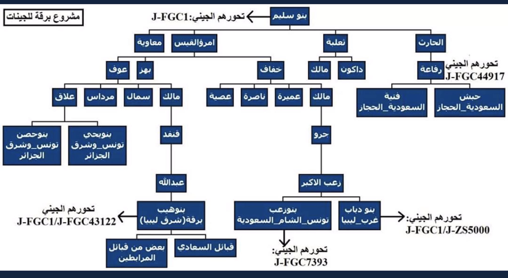 القبايل معايير القبائل العراقية