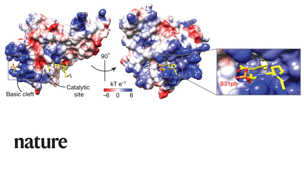 A study in Nature presents a code in DNA packaging proteins that enables the rapid expression of genes needed to fight immediate threats. The findings could lead to new treatments for cancer and inflammatory diseases.  go.nature.com/3jz1wqV