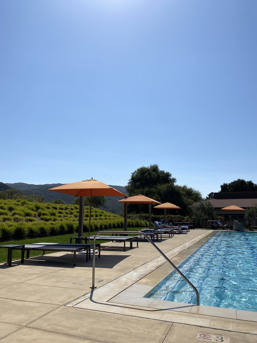 mayapconnet's tweet photo. Exactly where I want to be today... #readingpoolside https://t.co/uz0JKkTBi6