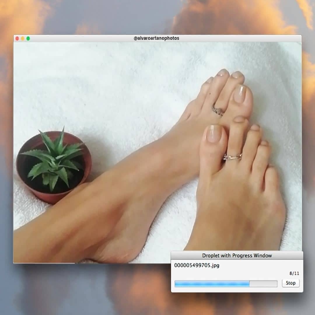Handsandfeetss's tweet photo. Do you like my feets? 😊
#feetlovers #feetpics #feetporn #feet #feetfetish #feetpictures #feethots #feetsell #feetinstagram #feetfetishWorld #feetbuyersonly #FEETSALE #feetgirl #feetvideo #feetheels #feetgroup #feetlicking #feetlover https://t.co/OTq2lUJWRP