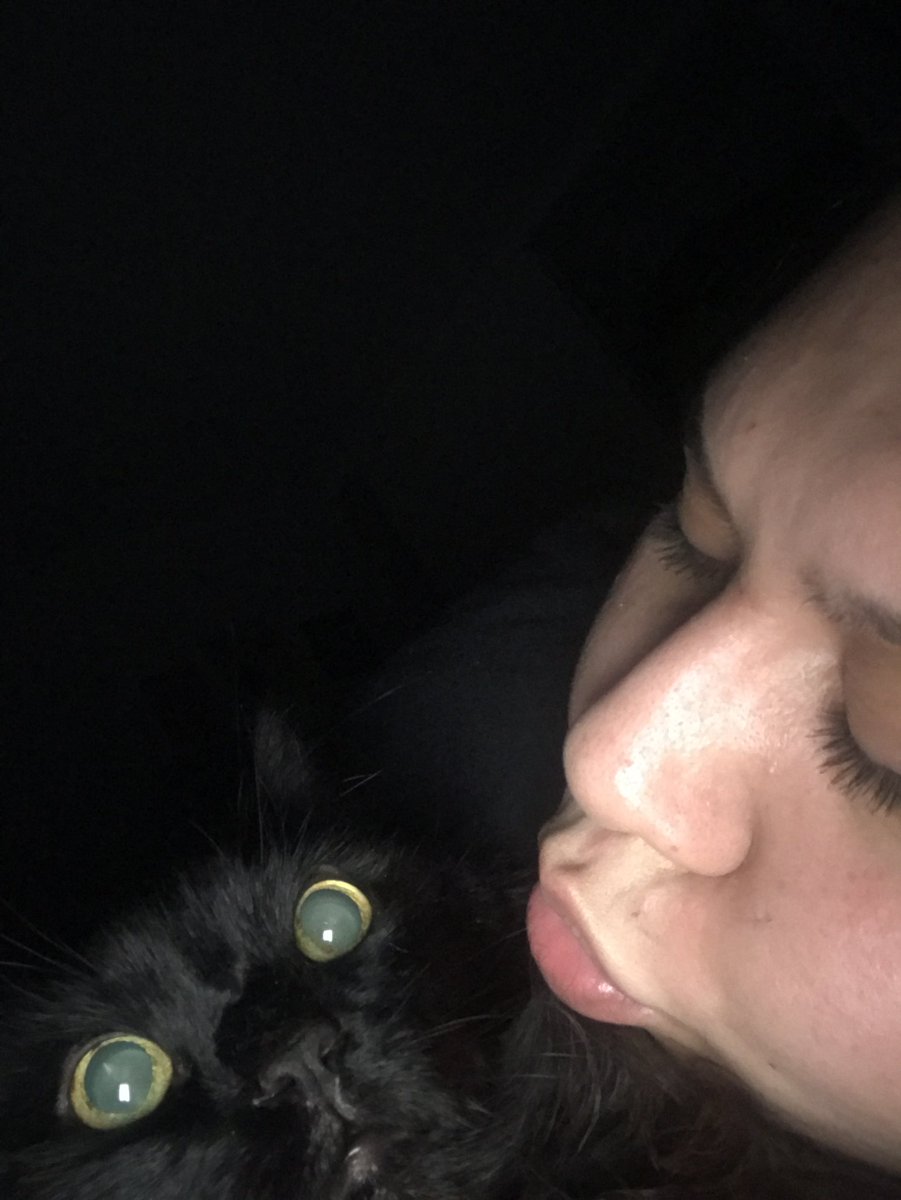 umm_its_ariana's tweet photo. 🖤fly high baby boy🖤
Aug 2002- July 2020 https://t.co/KW5aOHC0Rq