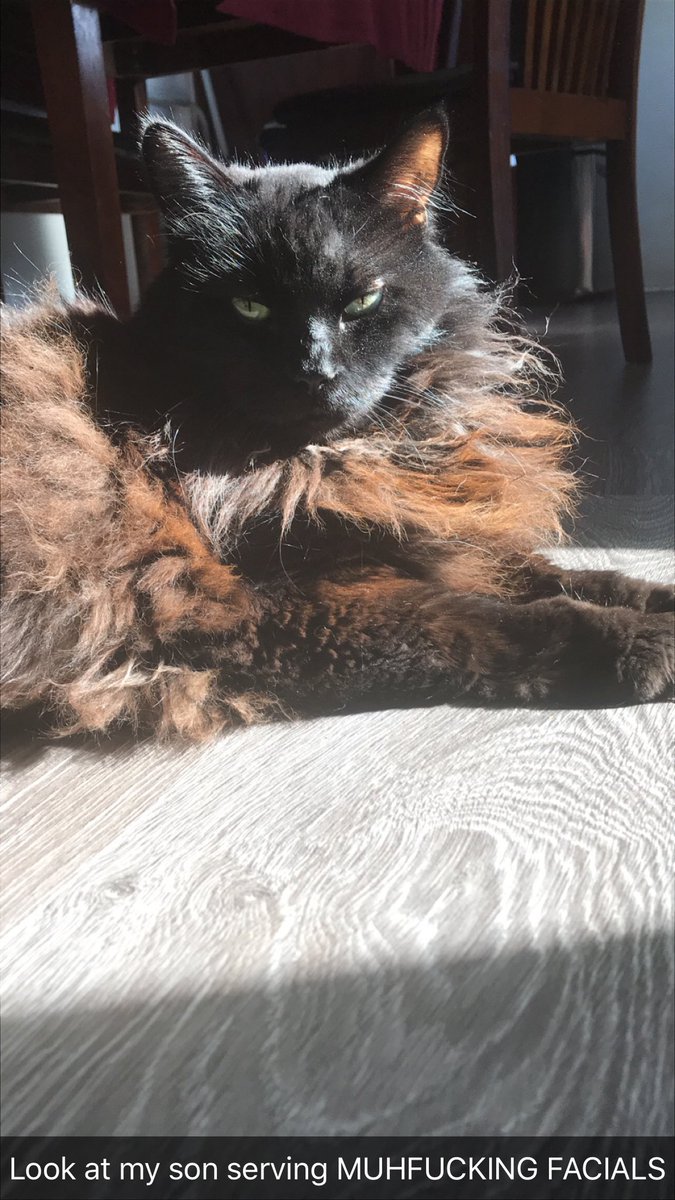 umm_its_ariana's tweet photo. 🖤fly high baby boy🖤
Aug 2002- July 2020 https://t.co/KW5aOHC0Rq