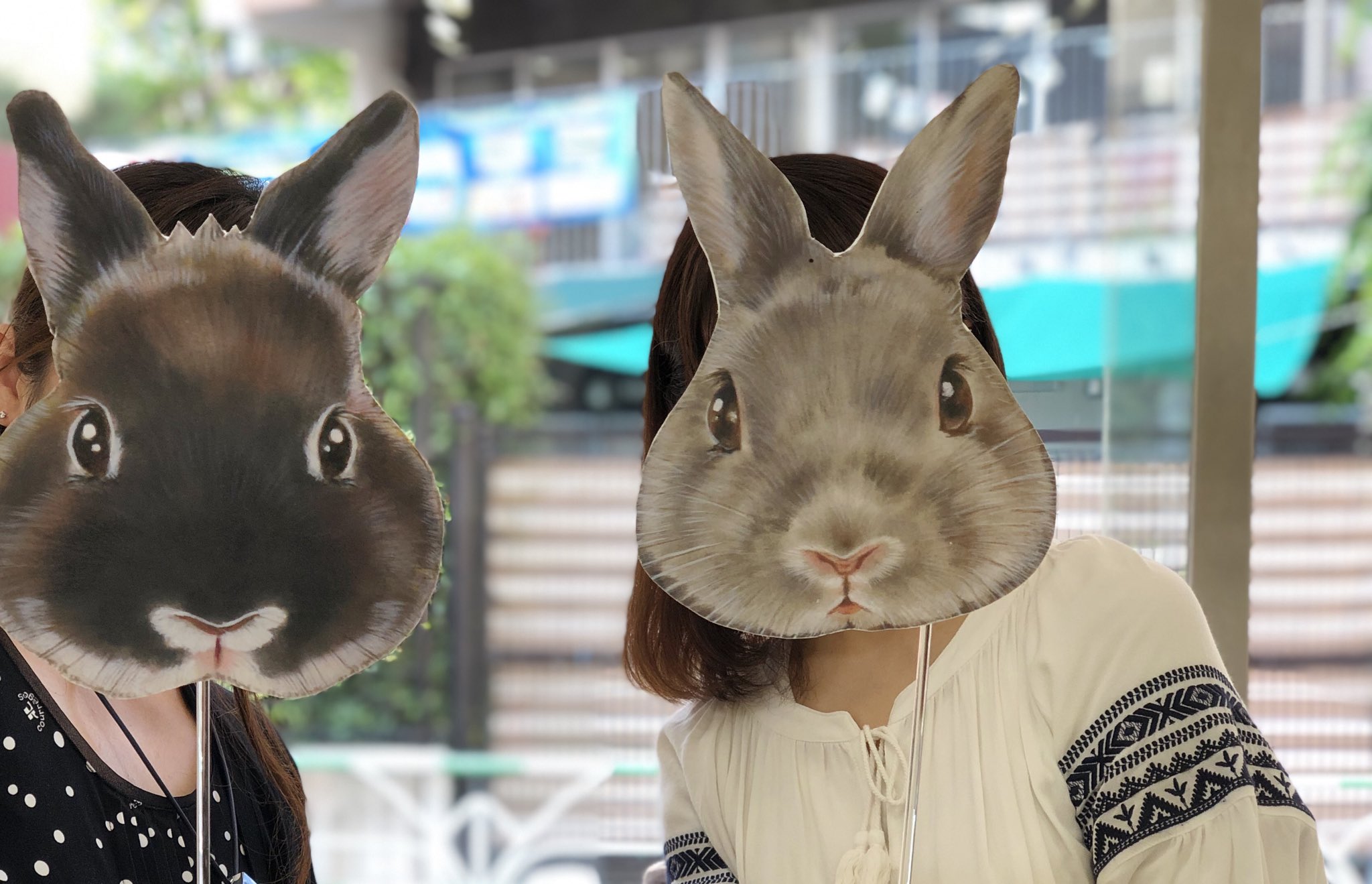 うさぎ画 Www Shipsctc Org