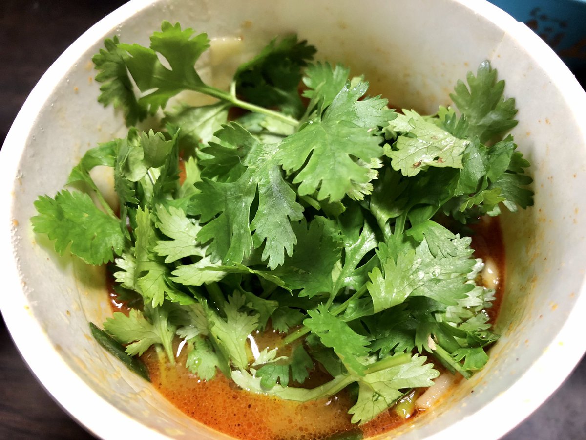 雑 みつる 雨の中の森林浴 カラシビ味噌らー麺鬼金棒 パクチー