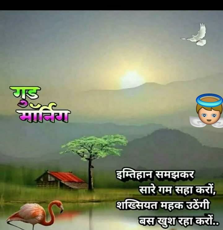 premgarments's tweet photo. Good Morning 😊Happy weekend 💐 https://t.co/VMtz4LYYZv