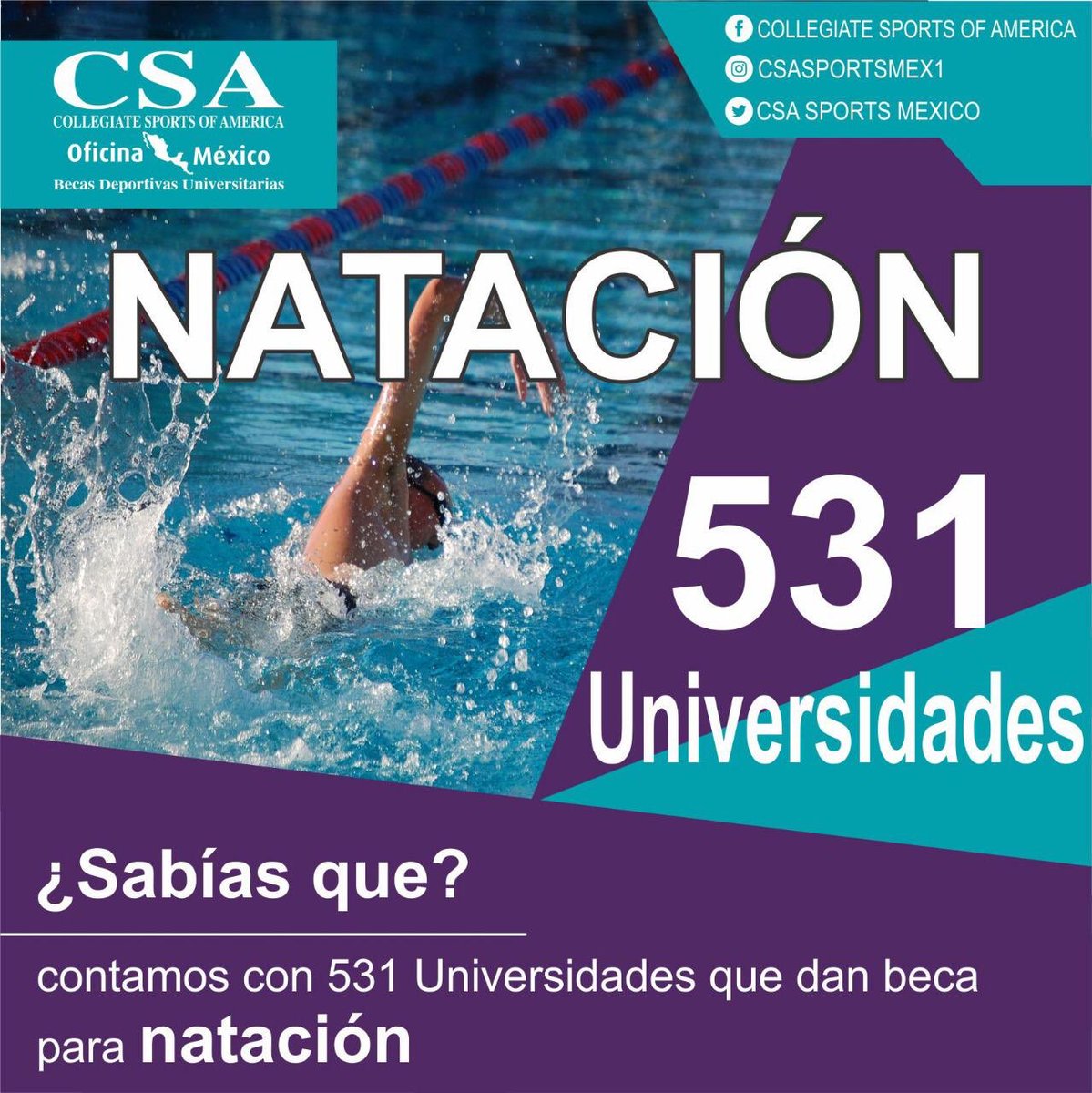 csasportsmex's tweet photo. Sabias que? Contamos con 531 universidades que dan beca de natación!
Tu sueño es posible con CSA!
Contáctanos!!!
@csasportsmex1
#csamexico #csasports #csaprepstar #becasdeportivaseneua #college #studenathlete #deportes #collegesports #experiencia #estudianteatleta https://t.co/papoGFn9fo