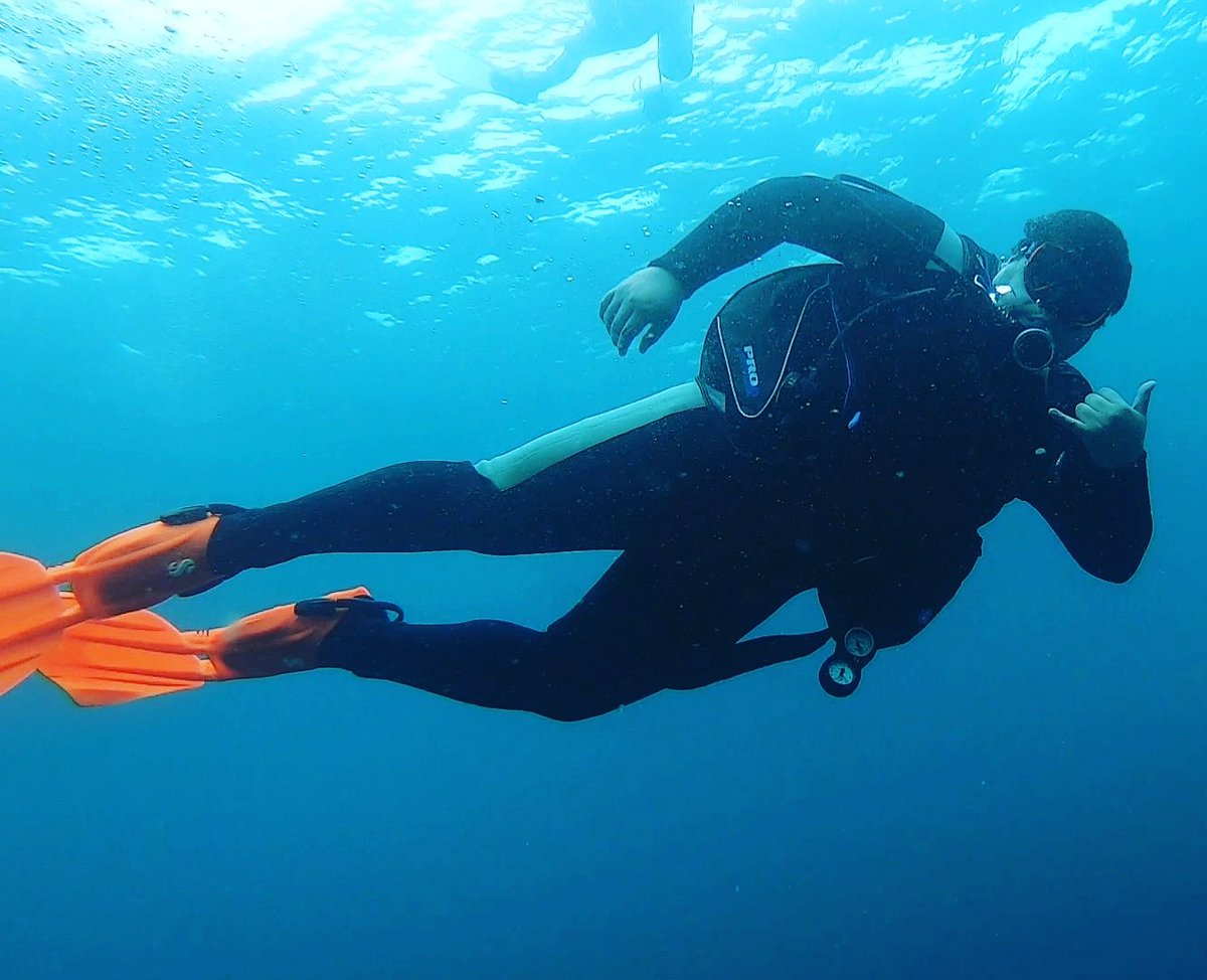 jhonattanBSC's tweet photo. #divinglife #divemodeon https://t.co/Ky8gVliP0r