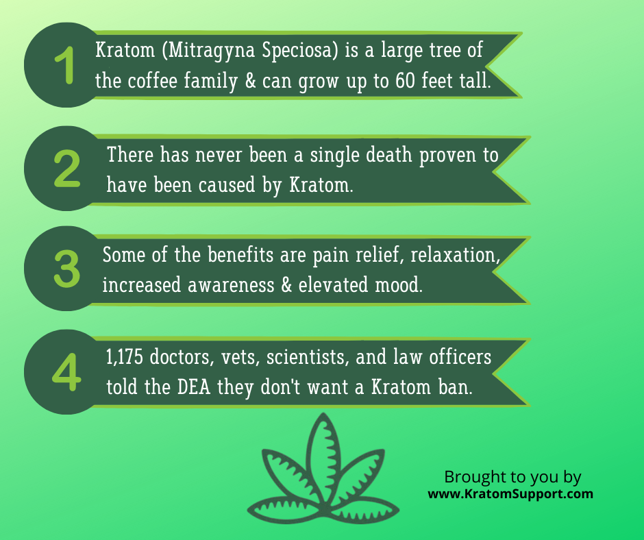SupportKratom's tweet photo. Four Fun Facts!

Visit https://t.co/ITGwHFW71b for everything about Kratom!

#kratom #kratomsupport #supportkratom #kratomvendor #buykratom https://t.co/Ir2TG3wL21