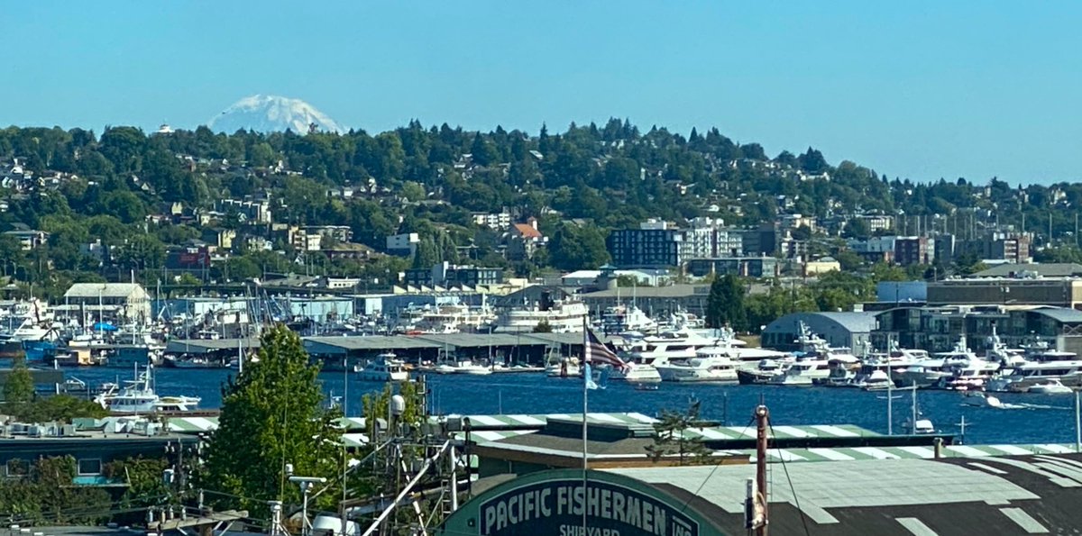 lmnoponml's tweet photo. Seattle today - the Democrat-run city on the brink of disaster, needing Trump’s Schutzstaffel to save us 🙄😂

#seattleprotest #trumpoutofseattle #trumpoutofpdx #fucktrump #freepnw   #freeseattle #freepdx #ImpeachTrumpAgain https://t.co/N0JsViiSTQ