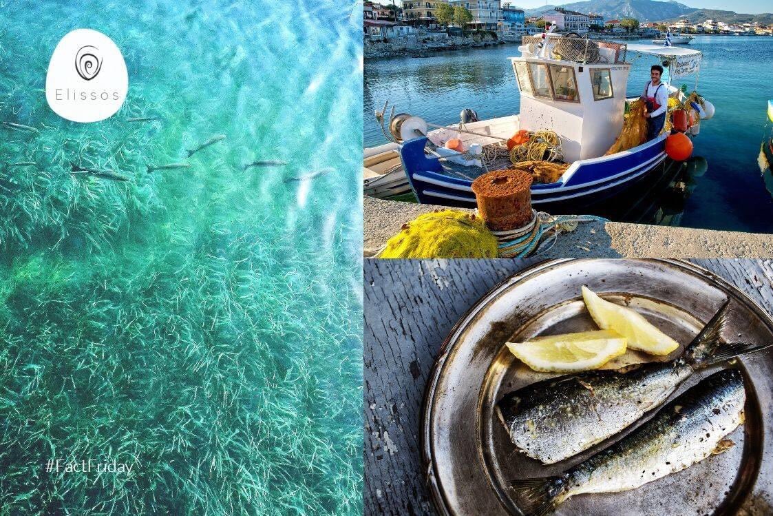 marilinapaters's tweet photo. Have a Wonderful Sunday dear All! 💚💙 #crete #greece #experience #sundaymood #sea #cretanbeaches #locallife #traveltocrete https://t.co/rNpOhsGcZC